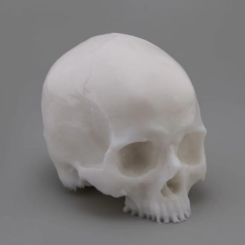 A Pound of Flesh - Tattooable Synthetic Yorick Skull