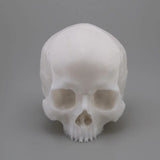 A Pound of Flesh - Tattooable Synthetic Yorick Skull