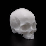 A Pound of Flesh - Tattooable Synthetic Yorick Skull